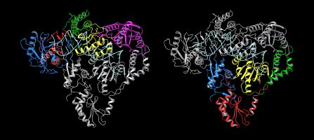 endogenous reverse transcriptase